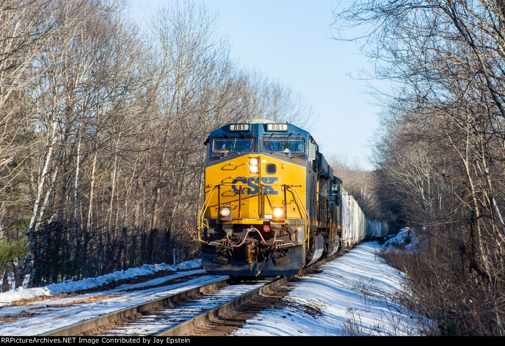 Q425 and Barren Trees